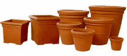 Cotta pots