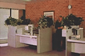 Indoor Plant Services
